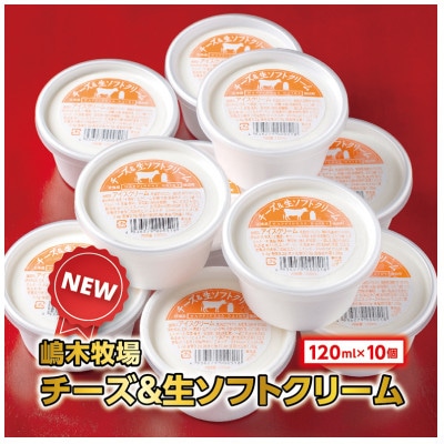 北海道 牧場のチーズ&生ソフトクリーム 10個 嶋木牧場池田町