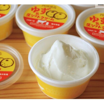 徳島ゆず&生ソフトクリーム 14個×120ml スイーツ 嶋木牧場 池田町