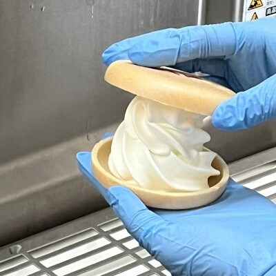 北海道 牧場の生ソフトクリーム 最中10個 スイーツ 嶋木牧場 池田町