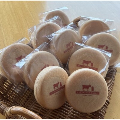 北海道 牧場の生ソフトクリーム 最中10個 スイーツ 嶋木牧場 池田町