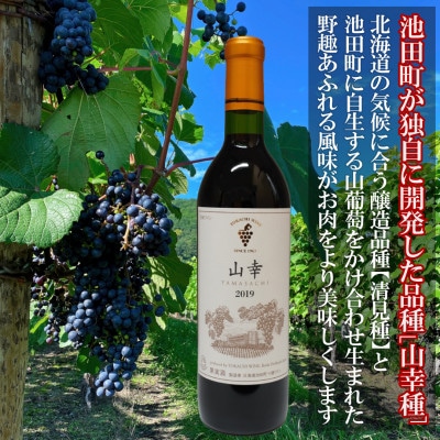 池田町産赤ワイン【山幸】を使用したジンギスカンハンバーグとシャンクジンギスカンのセット(各500g)