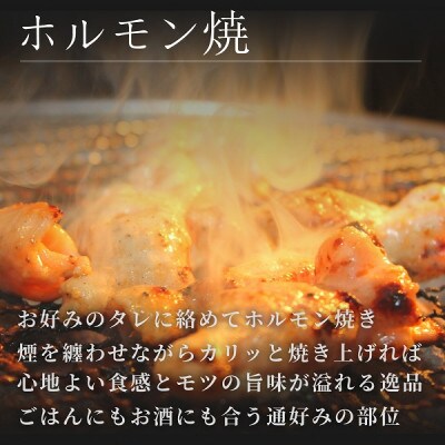 北海道産牛 ホルモンミックス (腸4種ミックス500g×1袋・胃4種ミックス500g×1袋)