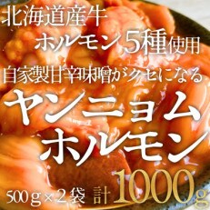 北海道産牛【味付 ミックスホルモン 旨辛★韓国風ヤンニョム辛味噌味】500g×2袋 計1kg