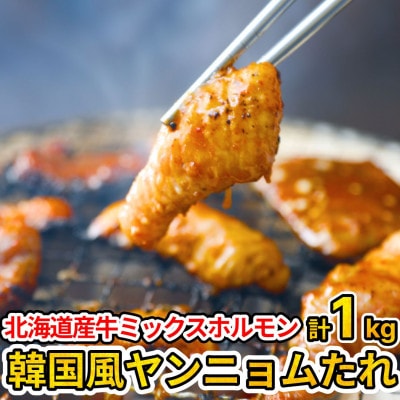 北海道産牛【味付 ミックスホルモン 旨辛★韓国風ヤンニョム辛味噌味】500g×2袋 計1kg