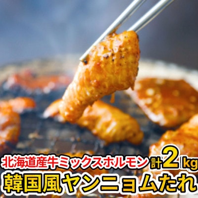 北海道産牛【味付 ミックスホルモン 旨辛★韓国風ヤンニョム辛味噌味】500g×4袋 計2kg
