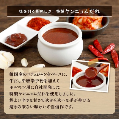 北海道産牛【味付 ミックスホルモン 旨辛★韓国風ヤンニョム辛味噌味】500g×4袋 計2kg