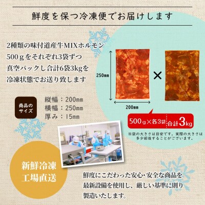 北海道産牛ホルモン焼きセット3kg(韓国風ヤンニョム・濃厚にんにく味噌)