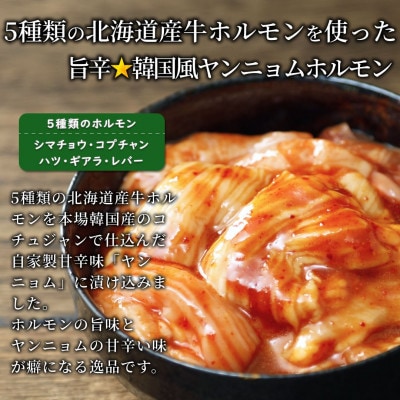 3種の北海道焼肉セット(ジンギスカン・道産味付豚ホルモン・道産牛甘辛ヤンニョムホルモン)3.0kg