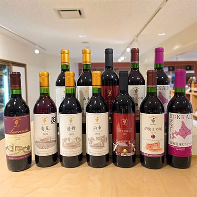 十勝ワイン 赤にこだわったビンテージ 12本セット