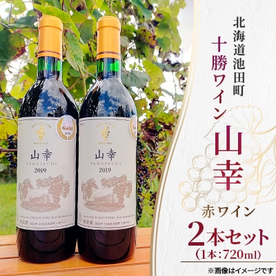 十勝ワイン 山幸2本セット