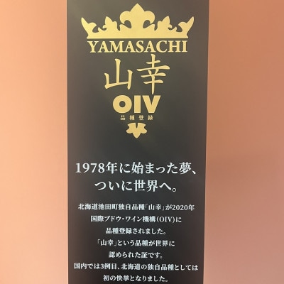 十勝ワイン 山幸2本セット