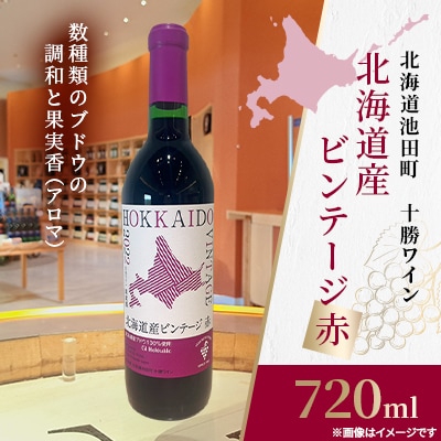 十勝ワイン 北海道産ビンテージ赤 1本
