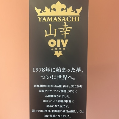 十勝ワイン 山幸 1本