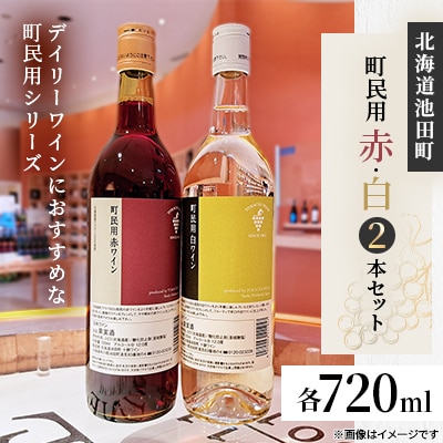 十勝ワイン 町民用赤・白 2本セット