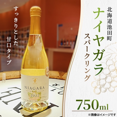 十勝ワイン ナイヤガラスパークリング 1本