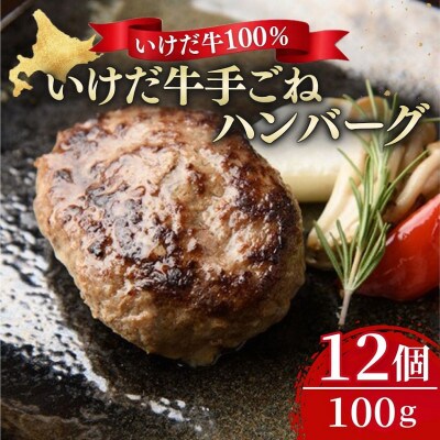 北海道 いけだ牛ハンバーグ12個【A011-3】