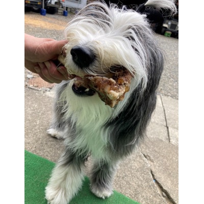 【さとふる限定】エゾ鹿肉ペットフード　犬用　お試し7品セット