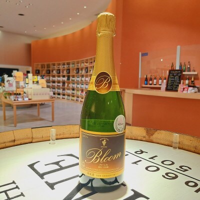 十勝ワインスパークリング6本セット【C002-1-1】