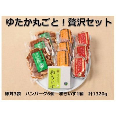 老舗店ゆたかの贅沢グルメセット　【B041-1】