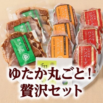 老舗店ゆたかの贅沢グルメセット　【B041-1】