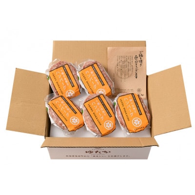 北海道十勝の合挽きハンバーグ5個【A041-7】