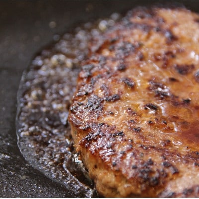 北海道十勝の合挽きハンバーグ5個【A041-7】