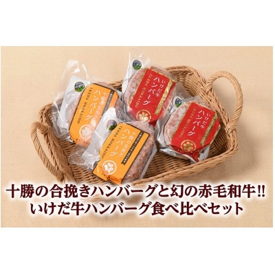 北海道十勝の合挽きハンバーグといけだ牛ハンバーグ 食べ比べセット【A041-6】
