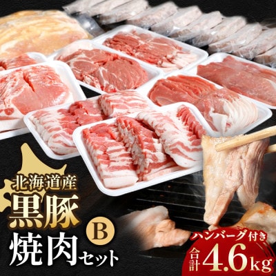 北海道 黒豚焼肉Bセット計4600g・ハンバーグ10個・味噌漬け350g付 ロース 肩ロース バラ