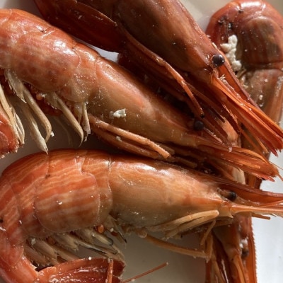 【冷凍】国産 北海縞海老(シマエビ) ボイル済み 500g(Sサイズ:40～44尾)
