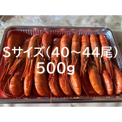 【冷凍】国産 北海縞海老(シマエビ) ボイル済み 500g(Sサイズ:40～44尾)