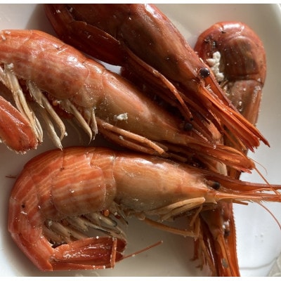 【冷凍】国産 北海縞海老(シマエビ) ボイル済み 500g(Mサイズ:33尾前後)