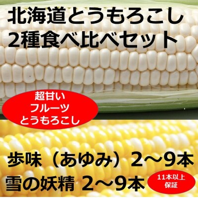 7月末頃より発送【訳あり】北海道とうもろこし「雪の妖精」「あゆみ」2種類食べ比べセット　計約5kg