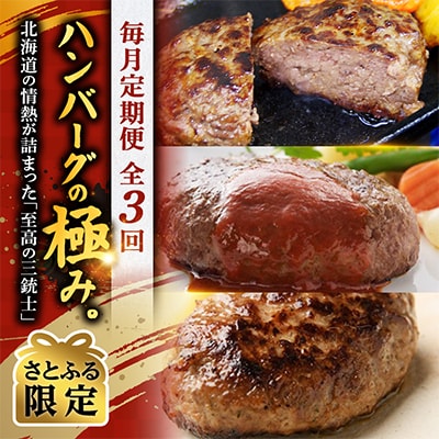 【毎月定期便】【さとふる限定】ハンバーグの極み。北海道の情熱が詰まった「至高の三銃士」玄人向け全3回