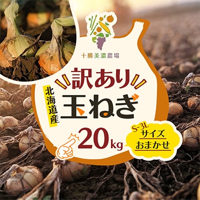 先行予約【訳あり】北海道産 玉ねぎ 20kg サイズおまかせ S～3L 十勝池田町 十勝美濃農場