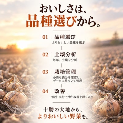 先行予約【訳あり】北海道産 玉ねぎ 20kg サイズおまかせ S～3L 十勝池田町 十勝美濃農場