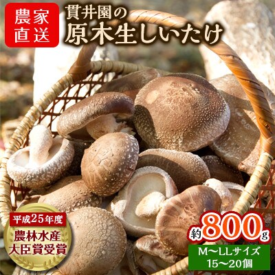 貫井園の原木生しいたけ 約800g お礼品詳細 ふるさと納税なら さとふる 貫井園の原木生しいたけ 約800g お礼品詳細 ふるさと納税なら さとふる
