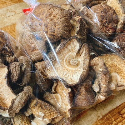 【訳あり】貫井園の原木干し椎茸　約90g×3パック　大きさ不揃い