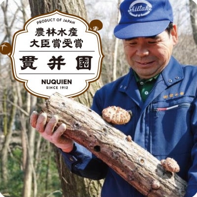 【訳あり】貫井園の原木干し椎茸　約90g×3パック　大きさ不揃い