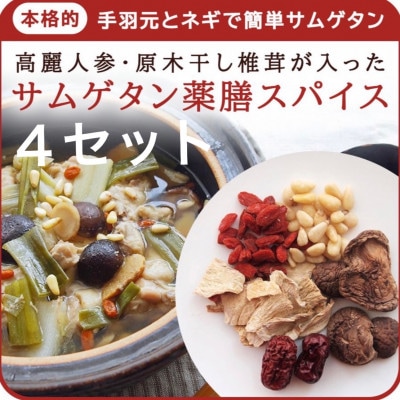 貫井園の薬膳ミックス  参鶏湯(サムゲタン)  高麗人参入り  3～4人前(1回分×4袋)