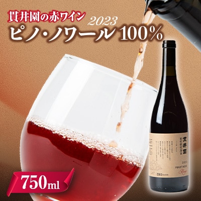 2023 赤ワイン　ピノ・ノワール100%　1本　貫井園のワイン