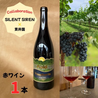 SILENT SIREN　×　貫井園　コラボレーション　赤ワイン　1本　限定100本生産