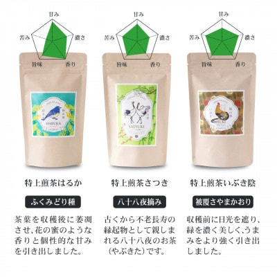 狭山茶リーフセット　ひるい(選りすぐり煎茶3種セット)