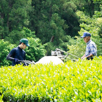 狭山茶ティーバッグセット　むらどり大 (バラエティセット)