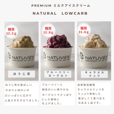 プレミアム　アイスクリーム(90ml×12個入)