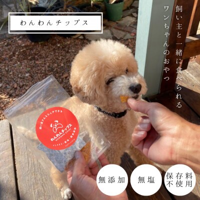 【タンパク質47.9g】わんわんチップス　50g×6袋