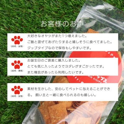 【タンパク質47.9g】わんわんチップス　50g×6袋