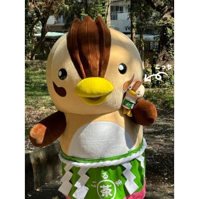 入間市観光大使「いるティー」ぬいぐるみ