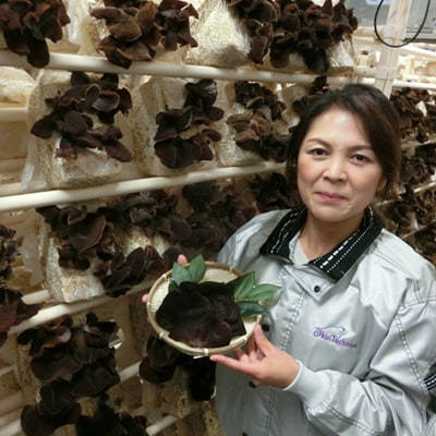 埼玉県産　むさし野ゆめファームの乾燥きくらげ　20g×6袋