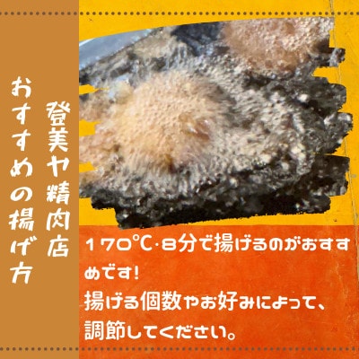 最上ロースカツ　計10枚　　揚げ前　冷凍　国産豚　小分け