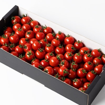 入間市産完熟ミニトマト「千果(ちか)」2kg